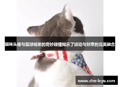 猫咪头像与篮球明星的奇妙碰撞揭示了运动与创意的完美融合