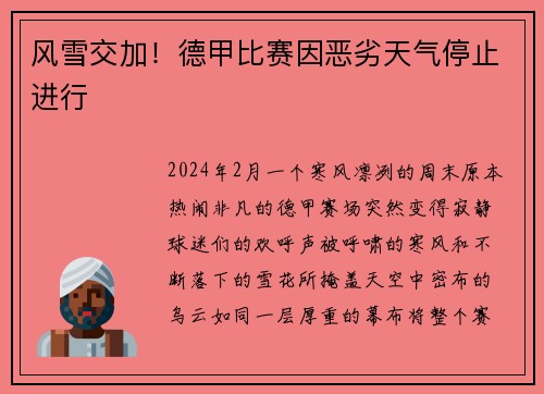 风雪交加！德甲比赛因恶劣天气停止进行
