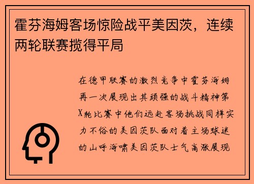 霍芬海姆客场惊险战平美因茨，连续两轮联赛揽得平局